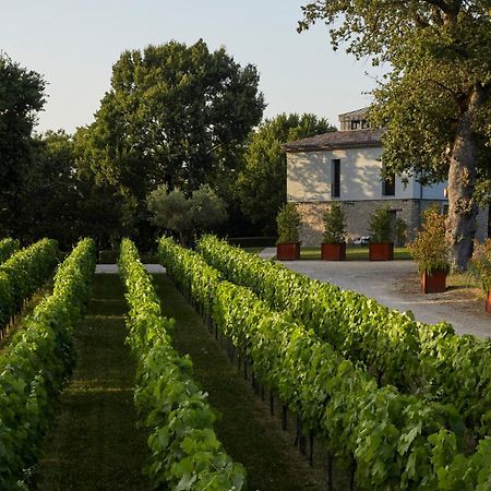 Borgo San Gregorio Villa Sorbo Serpico Ngoại thất bức ảnh