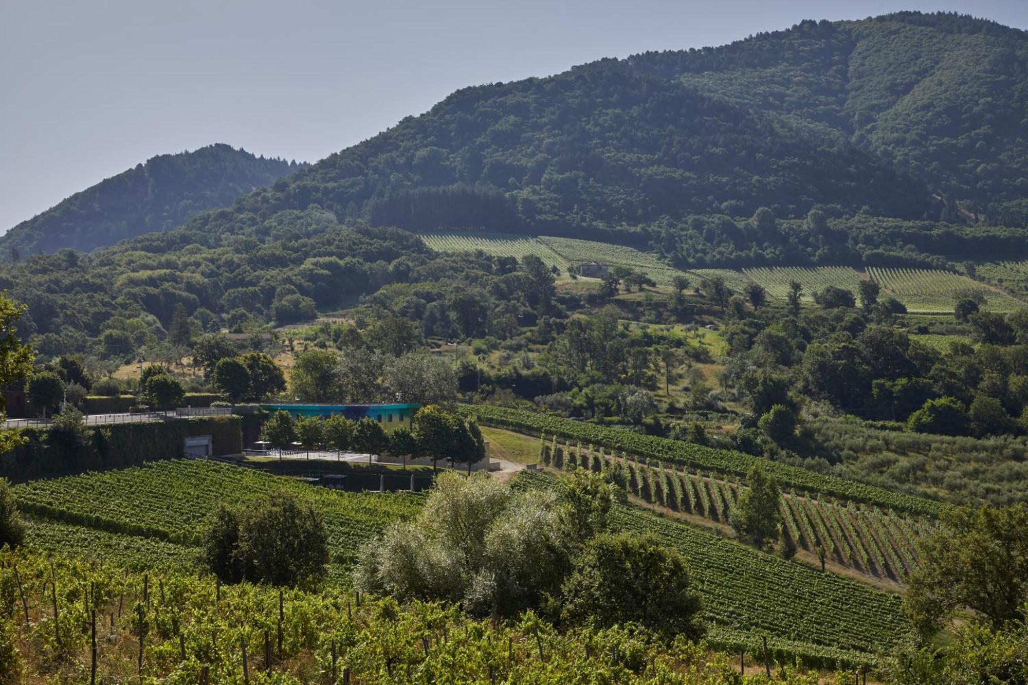 Borgo San Gregorio Villa Sorbo Serpico Ngoại thất bức ảnh