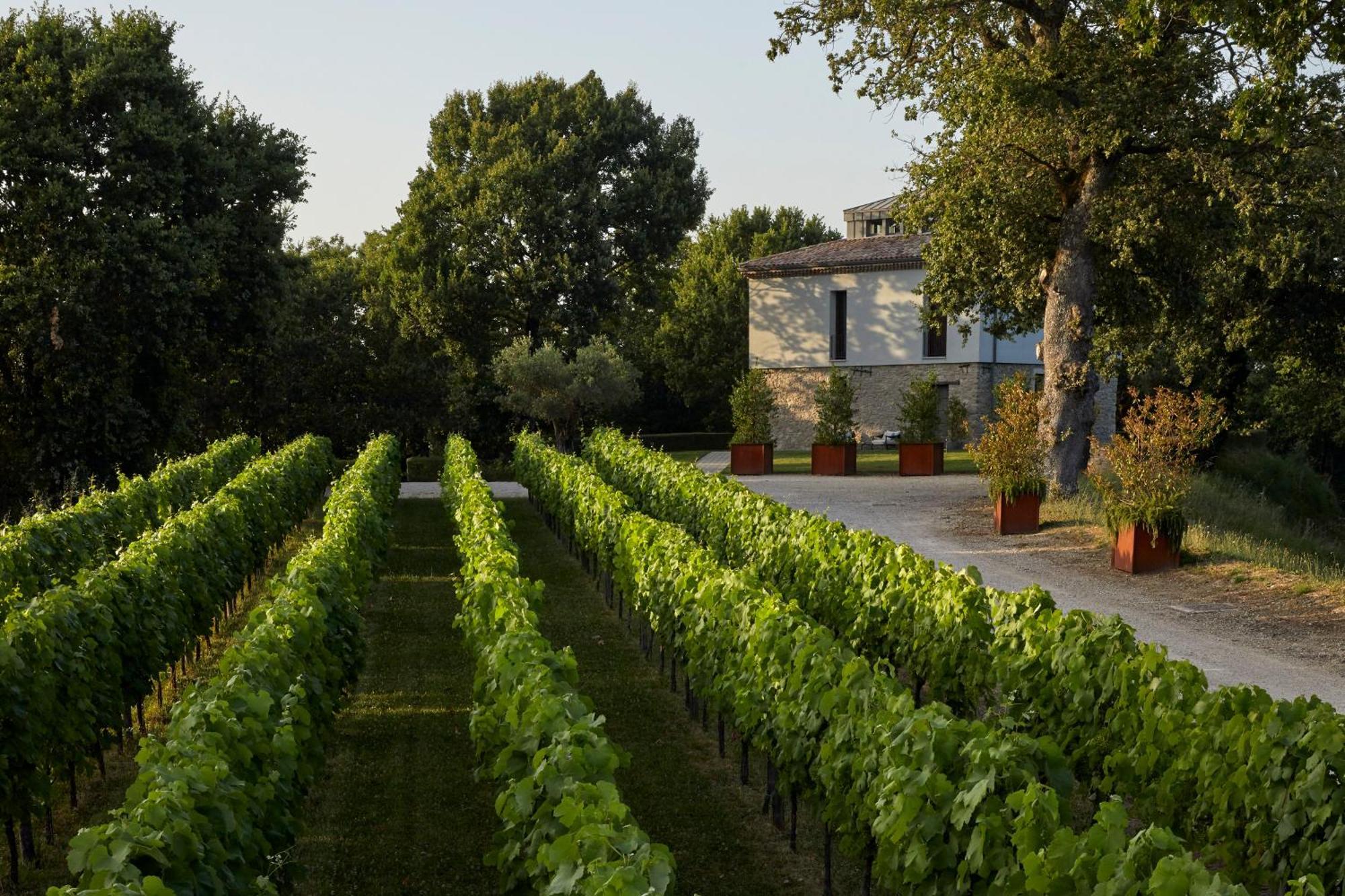 Borgo San Gregorio Villa Sorbo Serpico Ngoại thất bức ảnh